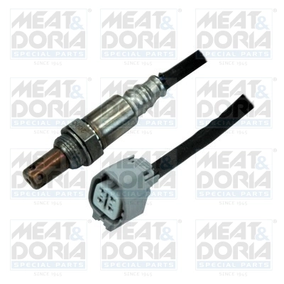 Oxygen Sensor